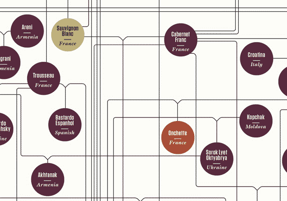 Genealogia do vinho