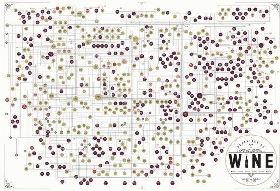 Poster Genealogia do Vinho