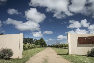 Visita à vinícola Viñedo de los Vientos